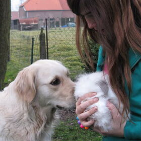 Noa en Queenie