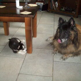 jong en oud