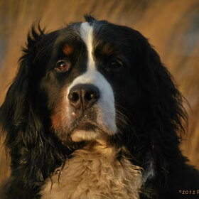 Senna..onze beauty!