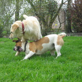 Samen spelen!