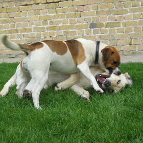 Samen spelen 2