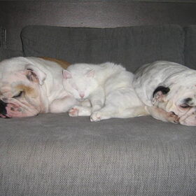 samen