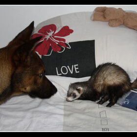 Sammy met Storm