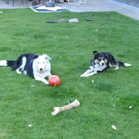 zina en ziggy