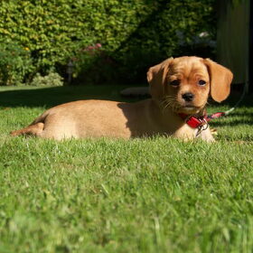 Lara op de camping