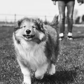 Happy is happy!