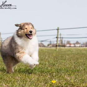 Smile happy!