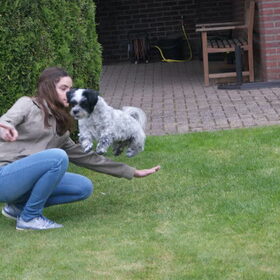 Spaiky springt op commando over mijn arm heen