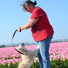 Fleurige vrolijkheid