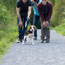 Santi wil wandelen.
