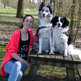 Picknicken!