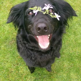 Flowerpower :)