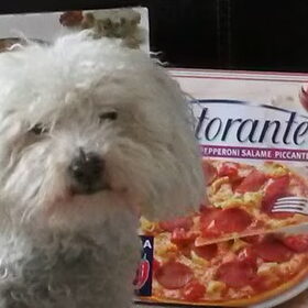 Italiano