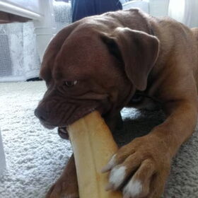Une baguette, s'il vous plaît