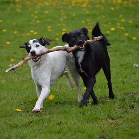 Samen spelen, samen delen...