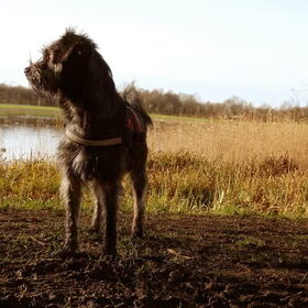 Mooie nazomer