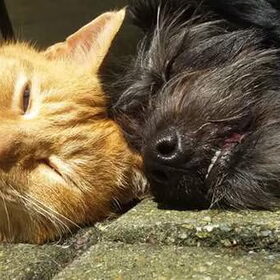 Samen van de zon genieten