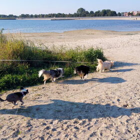Jeej we mogen weer op het strand!