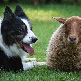 Best Friends