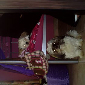 samen
