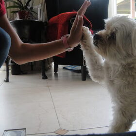 Woopy