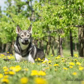 Lente met lieve Aiden!