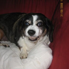 stoere Charley