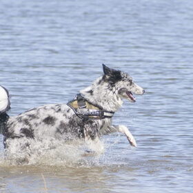 Spetteren in het water!