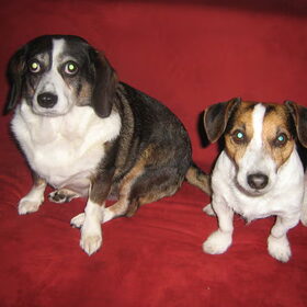 charley en haar vriendje max