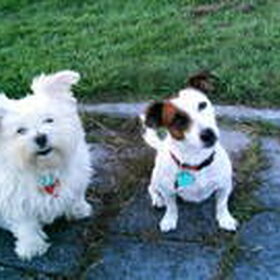 ONZE LIEVE SCHATTEN