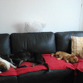met z'n vieren op de bank