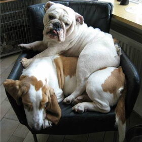 Te weinig stoelen