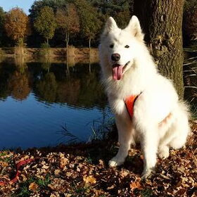 Herfst !
