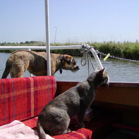 Samen op vakantie 2