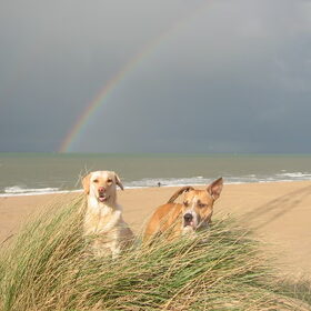 lotte en thyson