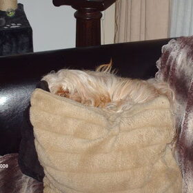 Luna vind het heerlijk om weg te kruipen voor haar…