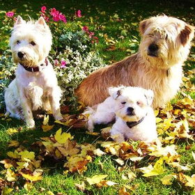 herfst 2008