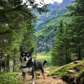 Wandelen in Oostenrijk