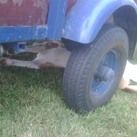 onder de wagen