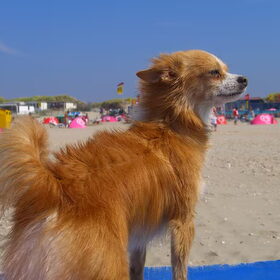 pffffffffffffffffffffffffffffffffff wat een wind