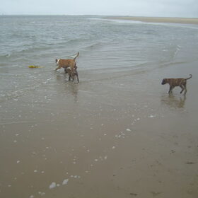 Pootje baden.