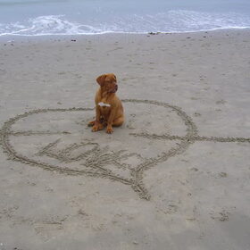 with love
