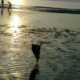 Bram op 't strand.