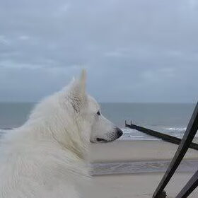 Mexx aan zee