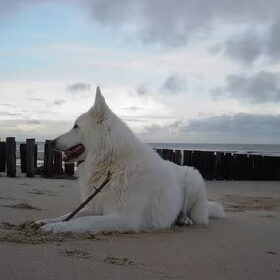 Mexx aan zee