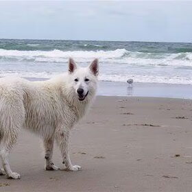 Mexx aan zee