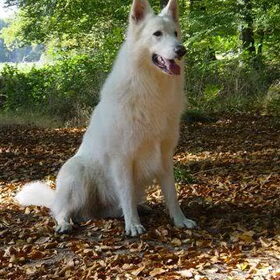 Mexx in de herfst