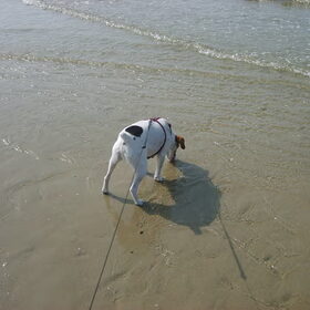 Eerste keer aan zee