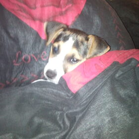 deejay in bed
