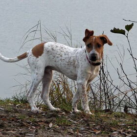 Buddy & herfst
